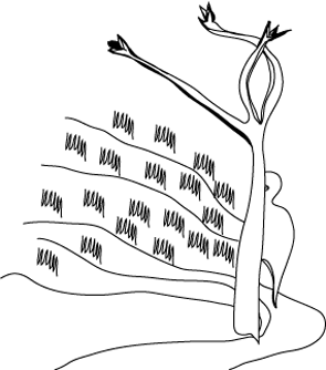 weg